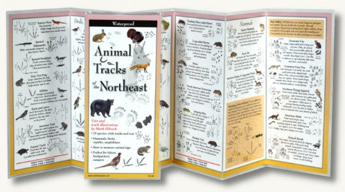 Animal Tracks of the Northeast Laminated Guide