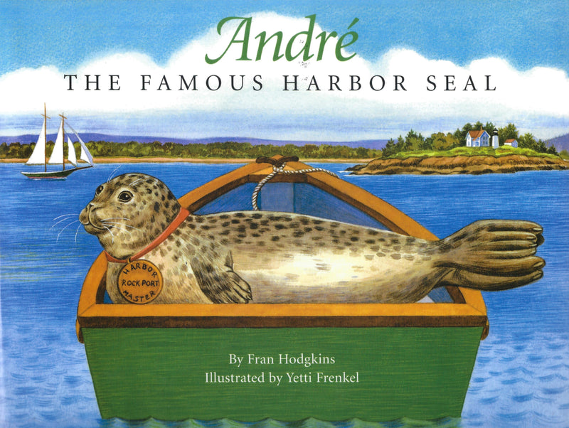 Andre The Famous Harbor Seal