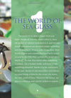 Sea Glass Hunter's Handbook