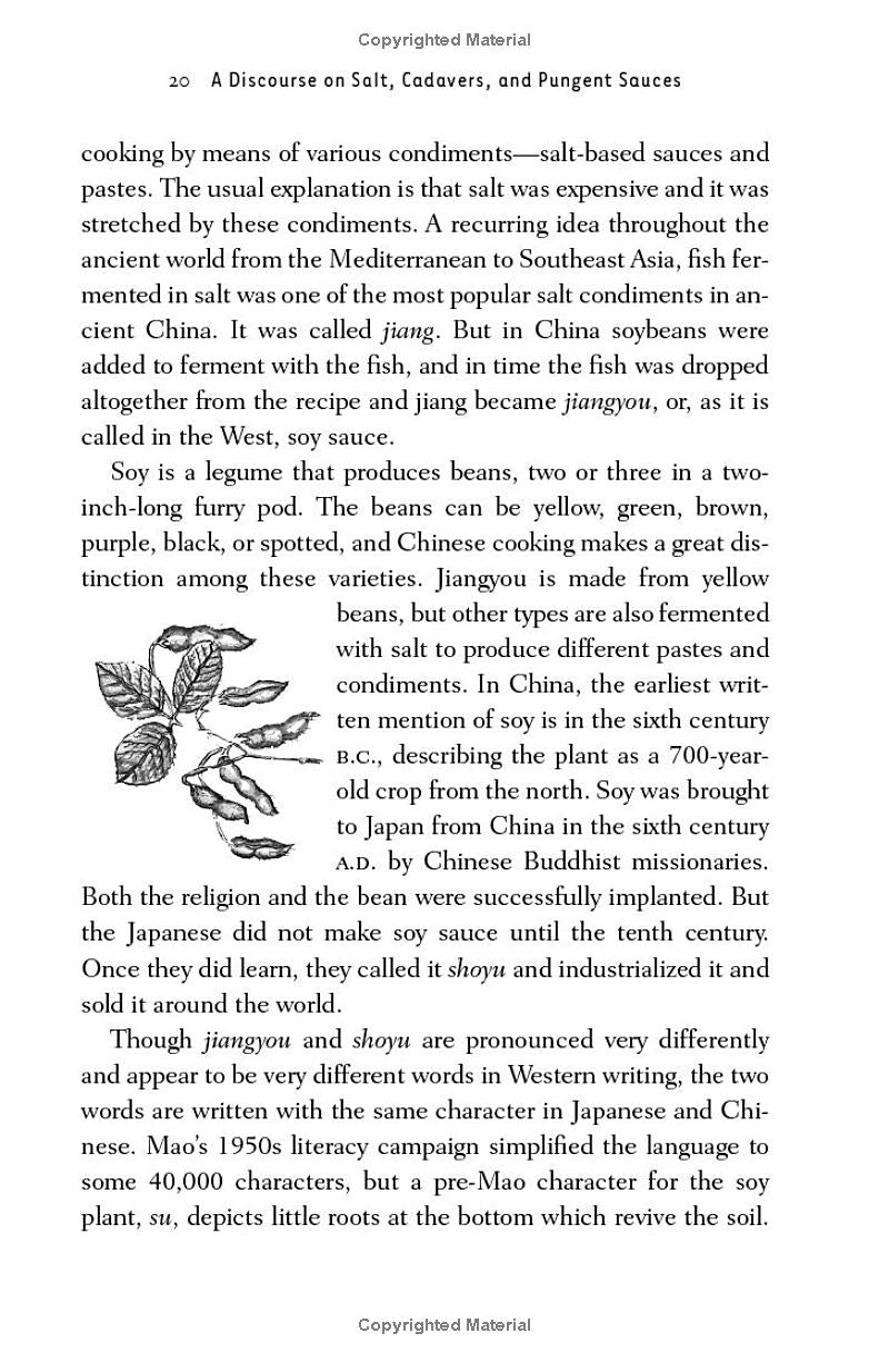 Salt: A World History