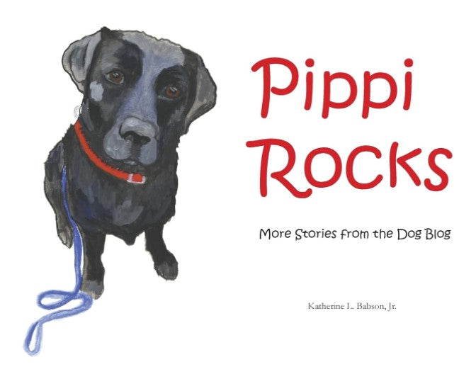 Pippi Rocks