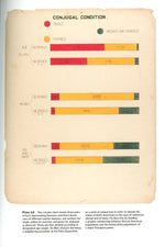 W. E. B. Du Bois's Data Portraits: Visualizing Black America