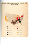 W. E. B. Du Bois's Data Portraits: Visualizing Black America