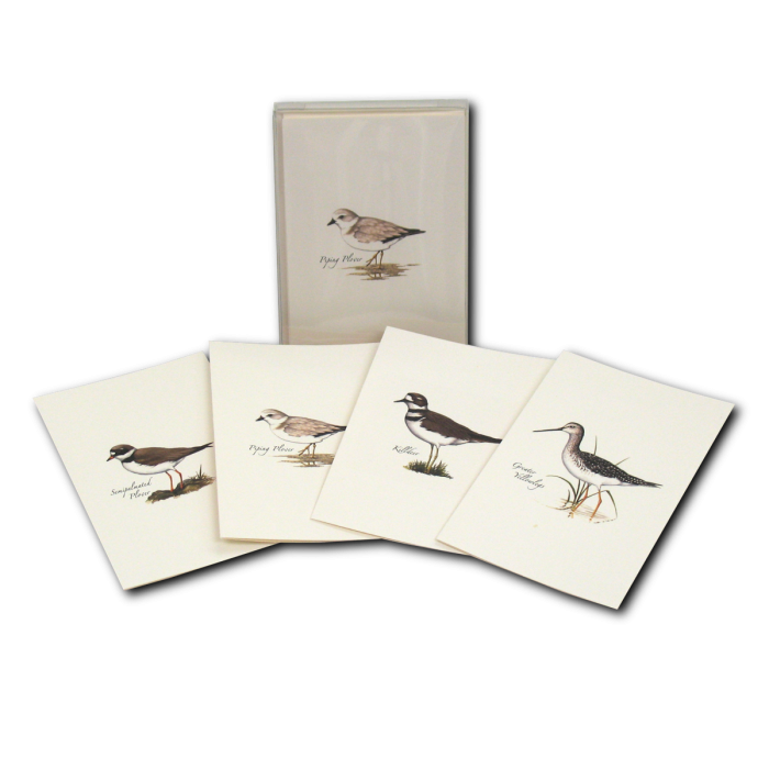 Shorebird Assortment Boxed Notecard Set